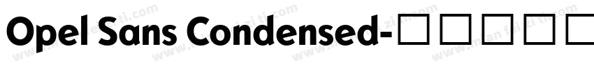 Opel Sans Condensed字体转换